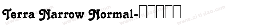 Terra Narrow Normal字体转换